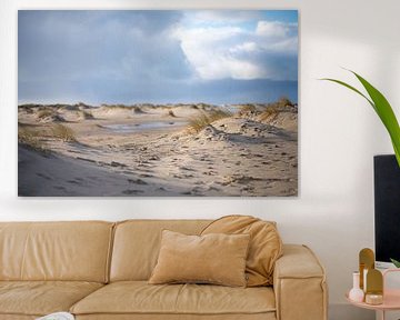 Texel, der Strand und die Dünen von Nathalie Scholtens - den Besten