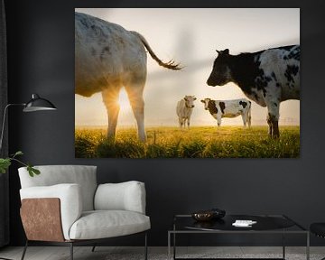 Holländische Kühe bei Sonnenaufgang | Tiere aus den Niederlanden | Landschaftsfotografie | Landwirte von Marijn Alons