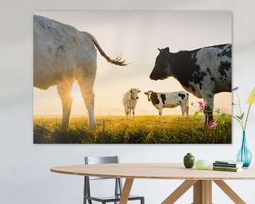 Vaches néerlandaises au lever du soleil | Animaux des Pays-Bas | Photographie de paysages | Agricult sur Marijn Alons