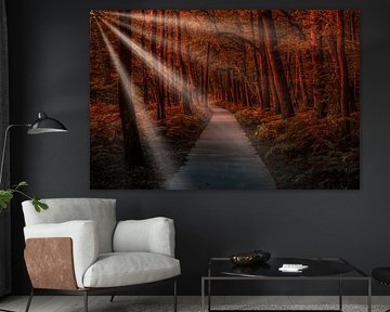 Between ferns by peterheinspictures
