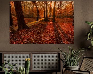 Sunny autum