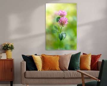 Schilderachtige bloemen in groen en roze van Evelien Oerlemans