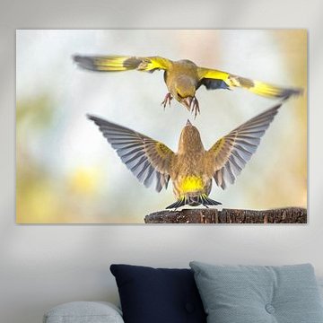 Greenlings in combat