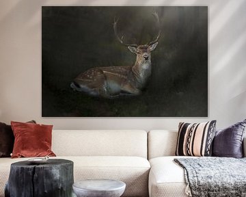 fallow deer by Kim van Beveren