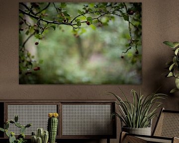 View through the forest by Yvonne van den Hatert