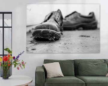 dusty shoe by Yvonne van den Hatert