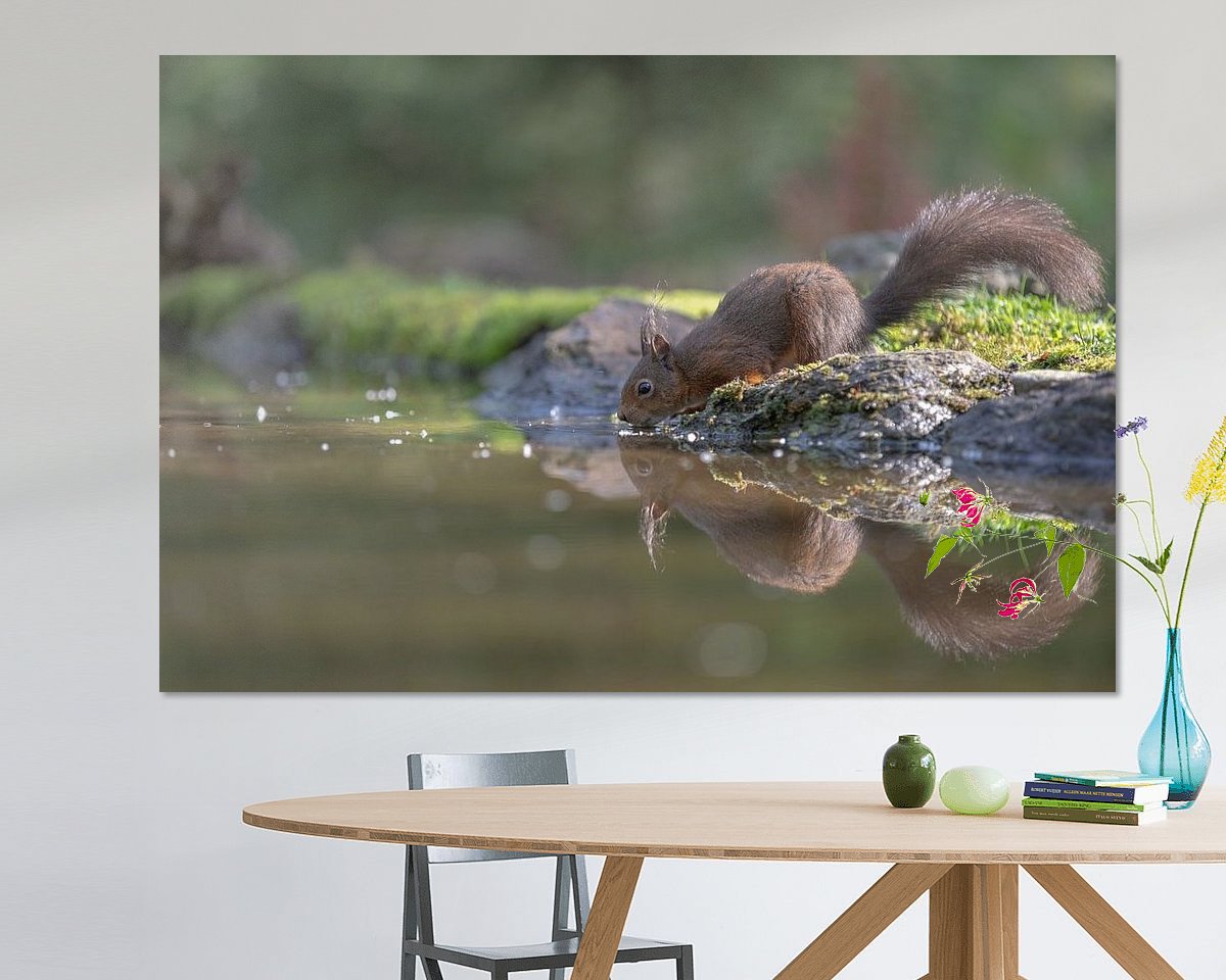 Aperçu de la chambre