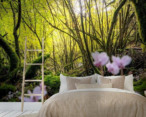 Aperçu de la chambre