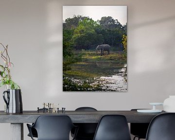 Olifant in Yala National Park, Sri Lanka van Teun Janssen