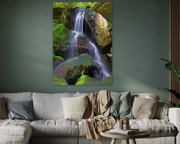 Lichtenhainer Wasserfall (Waterval met rotsen) van Caroline Lichthart