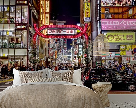 Aperçu de la chambre