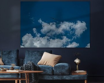 Des planeurs dans les airs