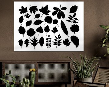 Collage of leaves in black and white by Jasper de Ruiter
