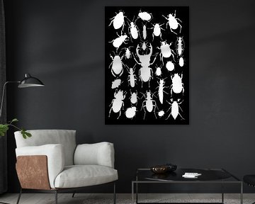 Collage beetles in white black by Jasper de Ruiter