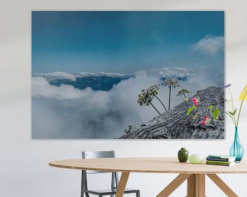 Sommet de montagne avec des fleurs et une mer de nuages rêveuse