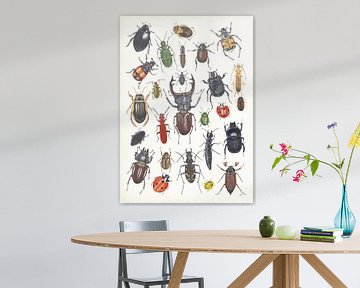 Collage beetles in the Netherlands by Jasper de Ruiter