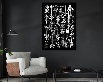 Collage de plantes en noir blanc sur Jasper de Ruiter