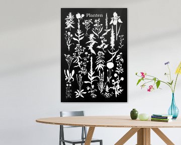 Collage van planten in witzwart