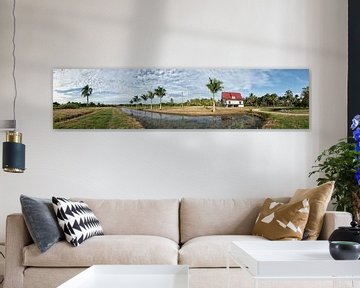 Panorama of Frederiksdorp in Suriname by Michel Groen