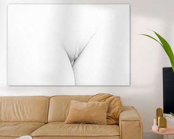 Artistiek Naakt van een Vagina in High Key Zwart Wit