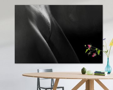 Künstlerische Vagina Nackt in Low Key Schwarz und Weiß von Art By Dominic