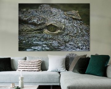 Crocodile eye by Rob Legius