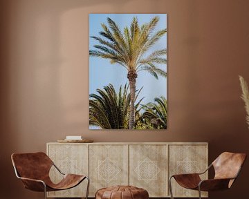 Palmbomen in vintage kleuren van Kiki Multem