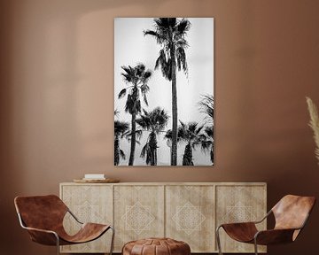 Palmbomen in zwart wit van Kiki Multem