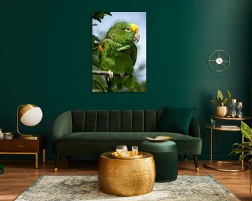 Groene papagaai van Abra van Vossen