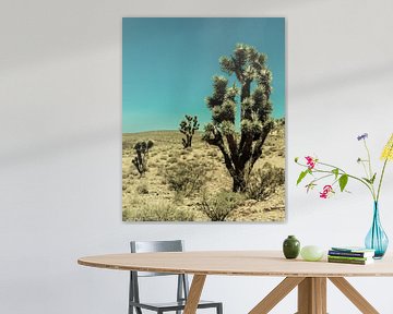 Joshua Tree in Mojave woestijn Californië van Vanmeurs fotografie