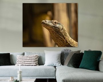 Komodovaraan van dichtbij van Wouter van Agtmaal