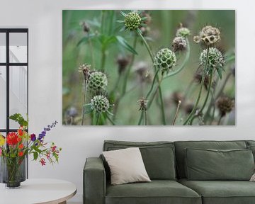 tote Blumen von Hanneke Bantje