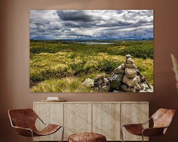 Plateau norvégien ( Hardangervidda ) sur Wouter van Agtmaal