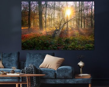 Sonnenaufgang in einem Herbstwald von Lens Design Studio