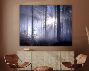 Sprookjesachtige zonnestralen met mist in het bos van Frahan van Peschen Photography