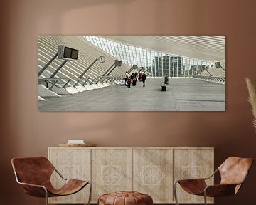 Station GUILLEMINS Luik by M  van den Hoven