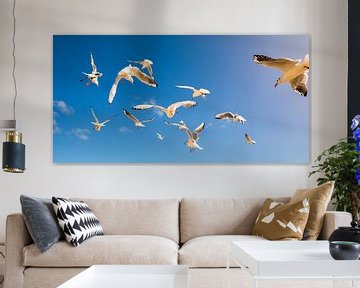 Seagulls on the beach of Usedom by Werner Dieterich