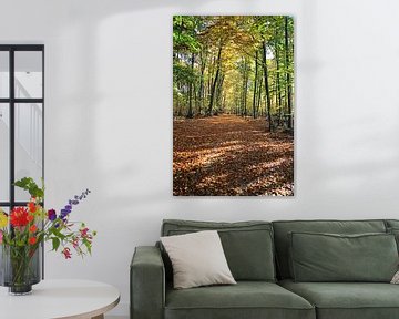 Ein Waldweg im Herbst von Jörg Sabel - Fotografie