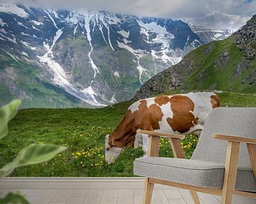 Koe in Oostenrijkse bergen