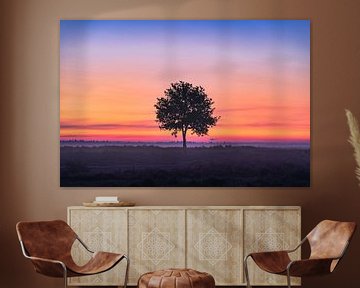 Eenzame boom tijdens zonsopkomst | kleurrijke landschapsfoto | Heide bij Ermelo van Marijn Alons