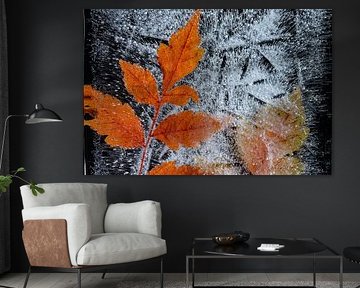 Detail van bevroren herfstbladeren.