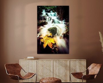 Yellow autumn leaves in a waterfall near Winterberg by Björn Jeurgens