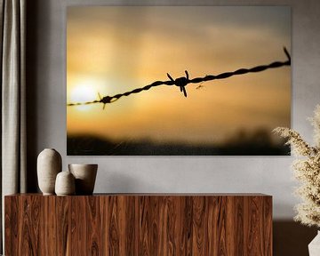 Barbed wire by Robert Snoek