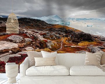 Rode rotsen op de kust van een ijsrotsen baai in Groenland van Martijn Smeets