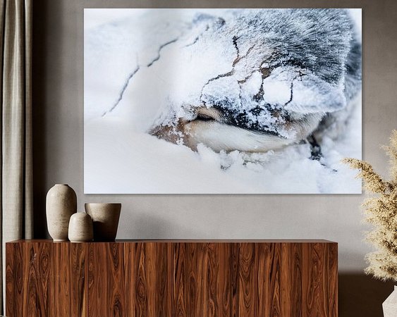 Raumvorschau