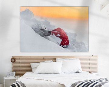 Husky im Schnee bei Sonnenaufgang von Martijn Smeets