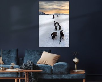 Husky sledeteams over bevroren meer met zonsondergang