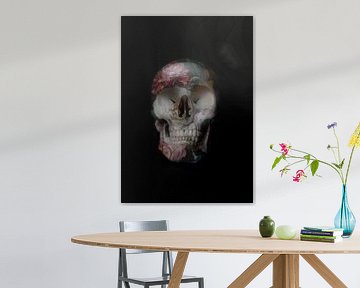 Skull 2.0 van De nieuwe meester