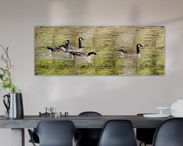 Canadese ganzen (panorama schilderij) van Art by Jeronimo