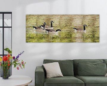 Oies du Canada (peinture panoramique) sur Art by Jeronimo